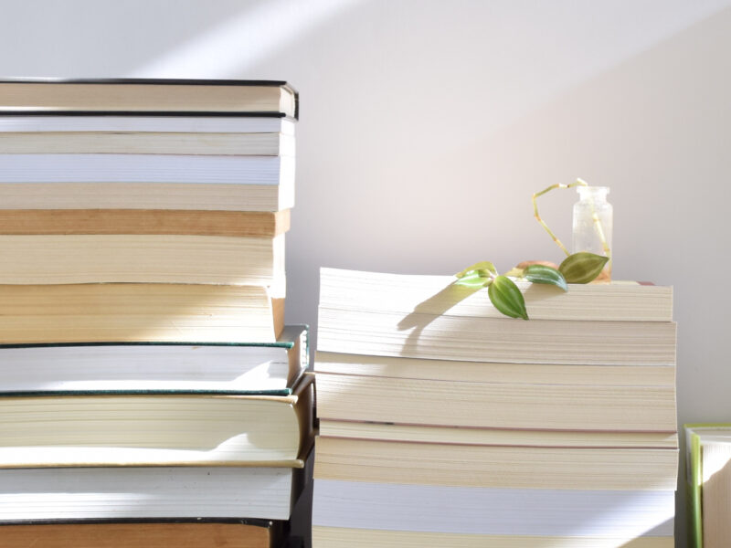 Os sete melhores livros para recuperar o hábito de leitura