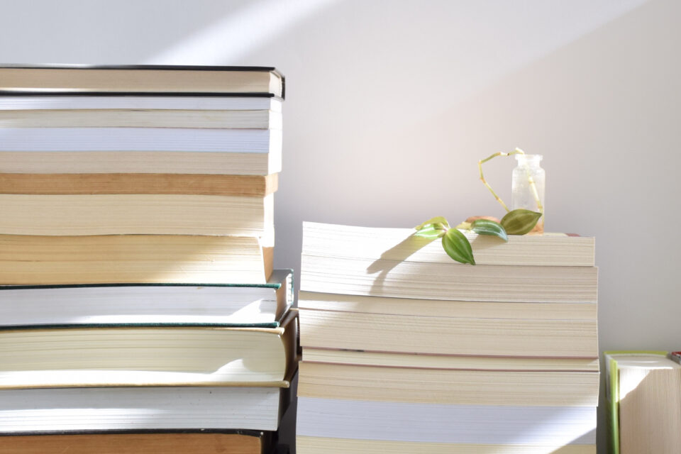 Os sete melhores livros para recuperar o hábito de leitura