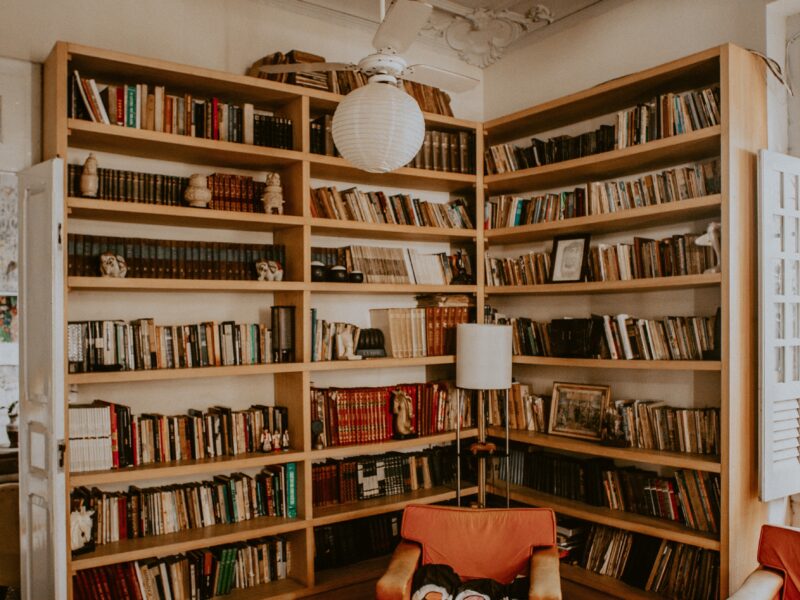 Cinco livros incríveis sobre pandemias para ler agora | #fiqueemcasa