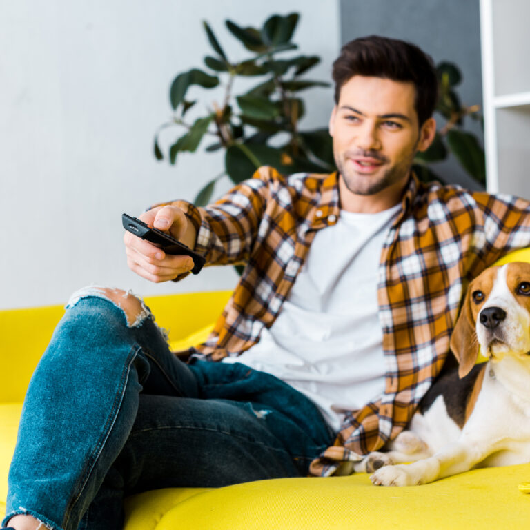 Canais que nem sabia que tinha na sua <i>box</i> | #fiqueemcasa