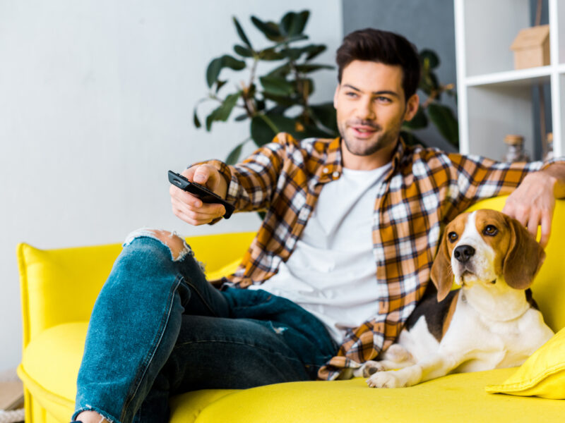 Canais que nem sabia que tinha na sua <i>box</i> | #fiqueemcasa