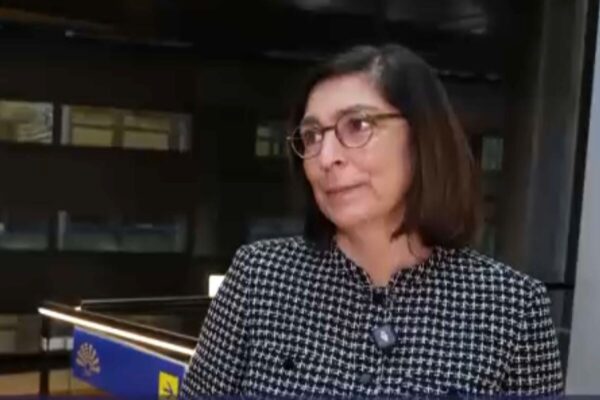Conheça a mulher que já foi deputada do PS, presidente do grupo parlamentar e agora eurodeputada do Parlamento Europeu