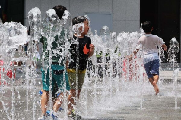 Europa em alerta com calor e fogos: eurodeputados pedem reforço de prevenção