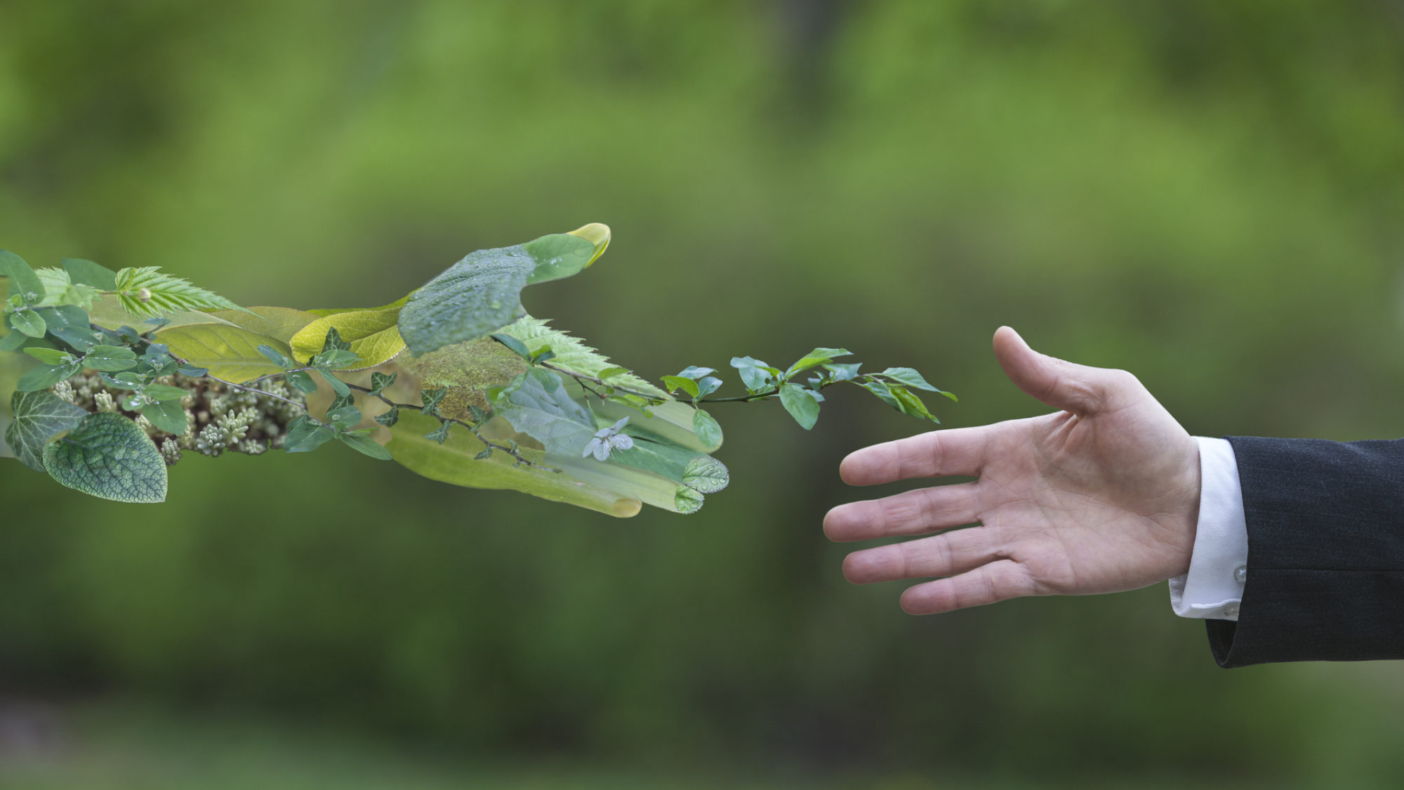 Reciclagem: sete mitos desmistificados
