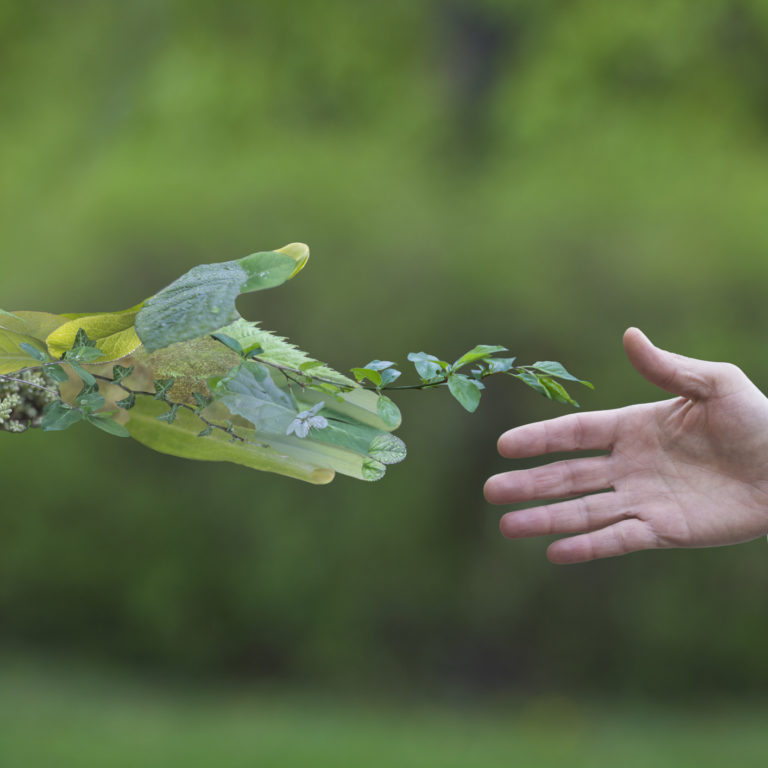Reciclagem: cinco mitos desmistificados