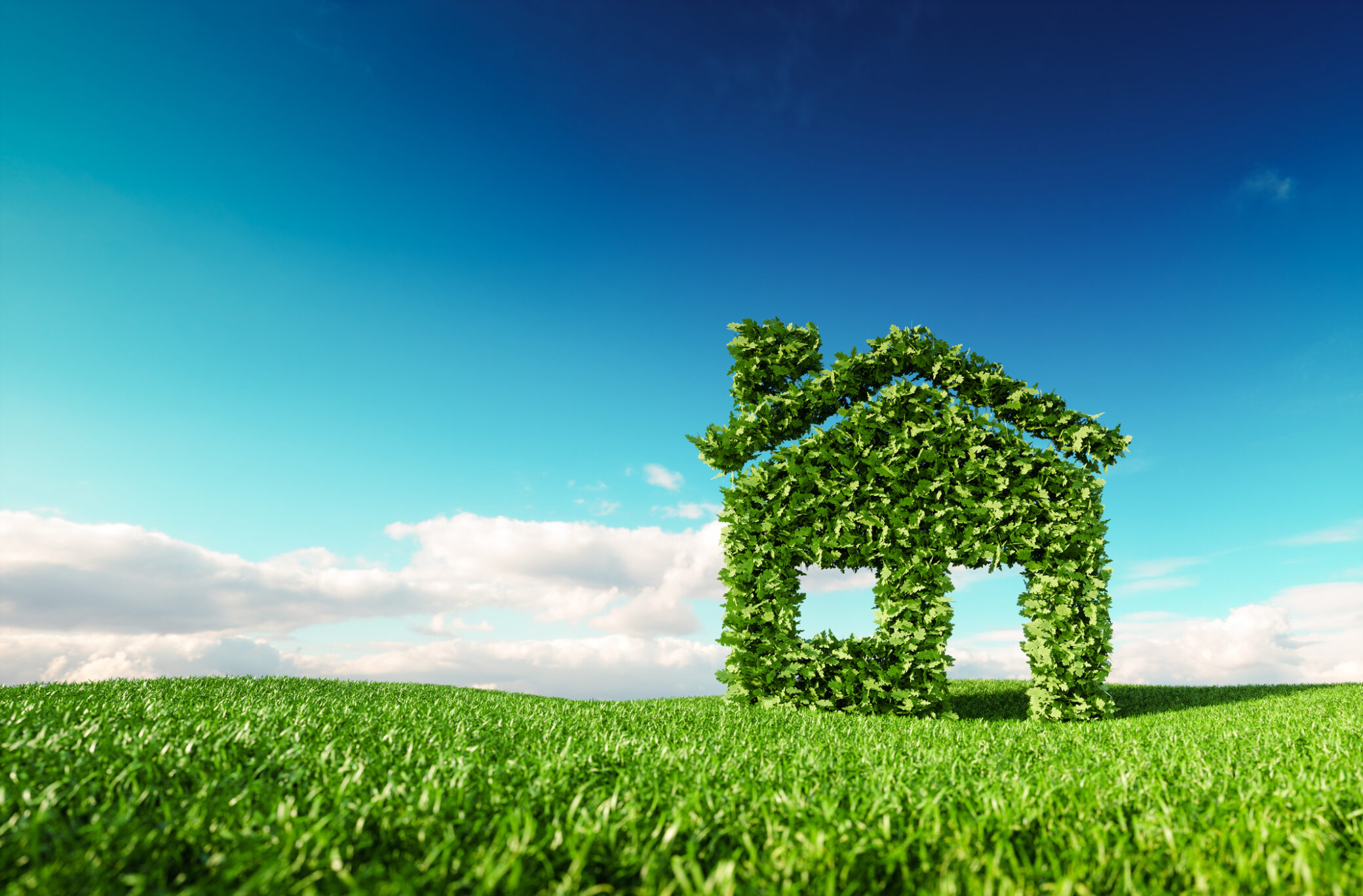 Casa verde e sustentável