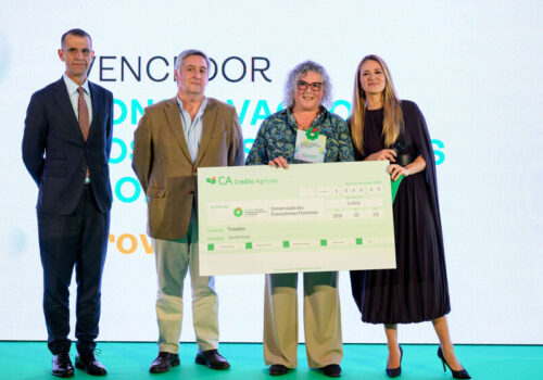 Tecnologia portuguesa acelera reflorestação